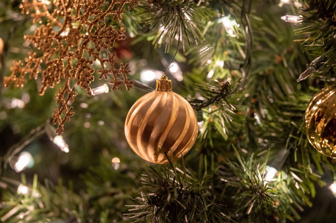 Christmas Tree Clearance: Memories That Last Beyond Seasons